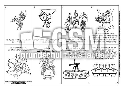 Lese-Mal-Faltbuch-Tulpe-3.pdf